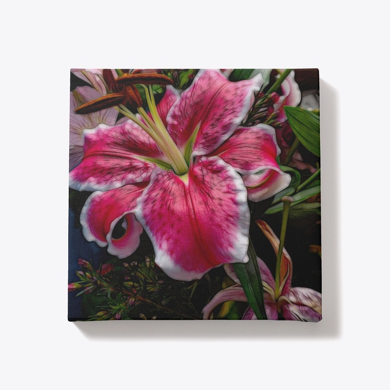 Big Petaled Pink and White Lily