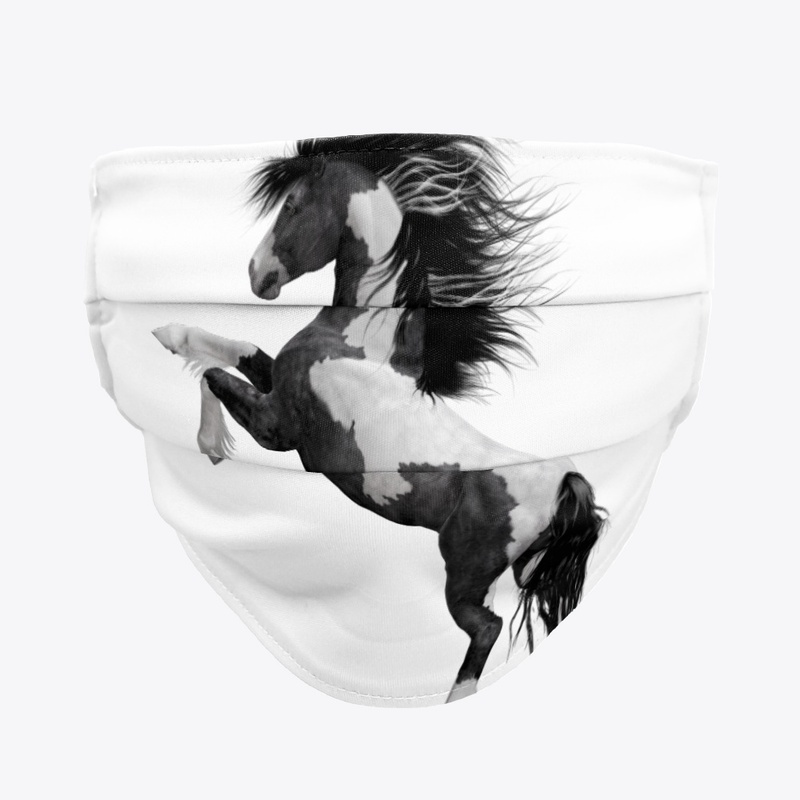 Horse2