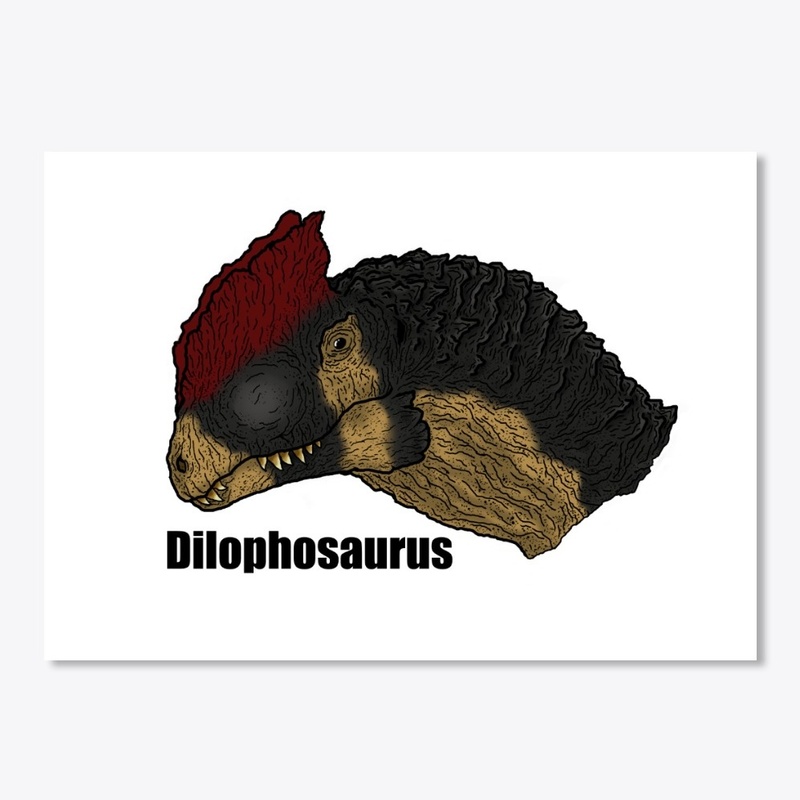 Dilo Merch