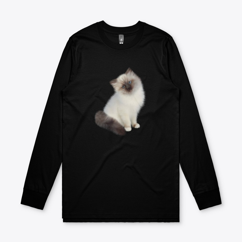 Lovely  Cat