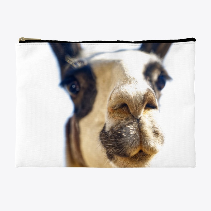 Camel Accessory Pouch