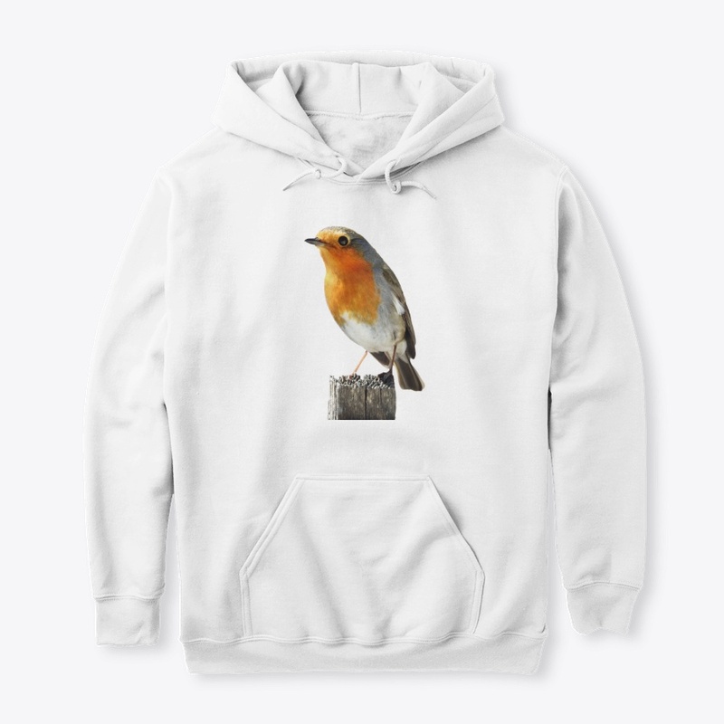 Cute Robin