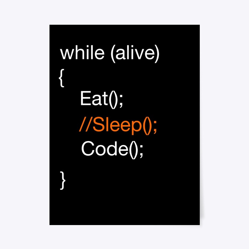 Programmer Routine