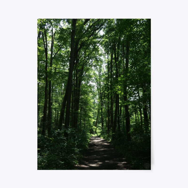 Laurel 6