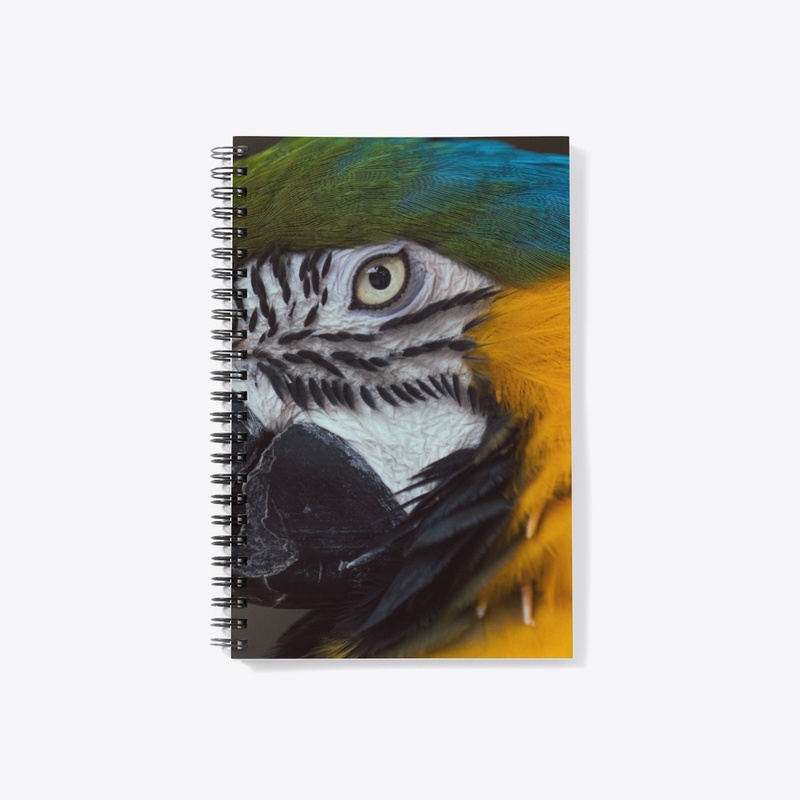 Birds of a feather 3