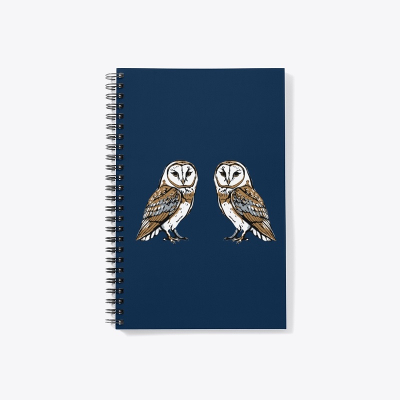 Two Barn Owls 
