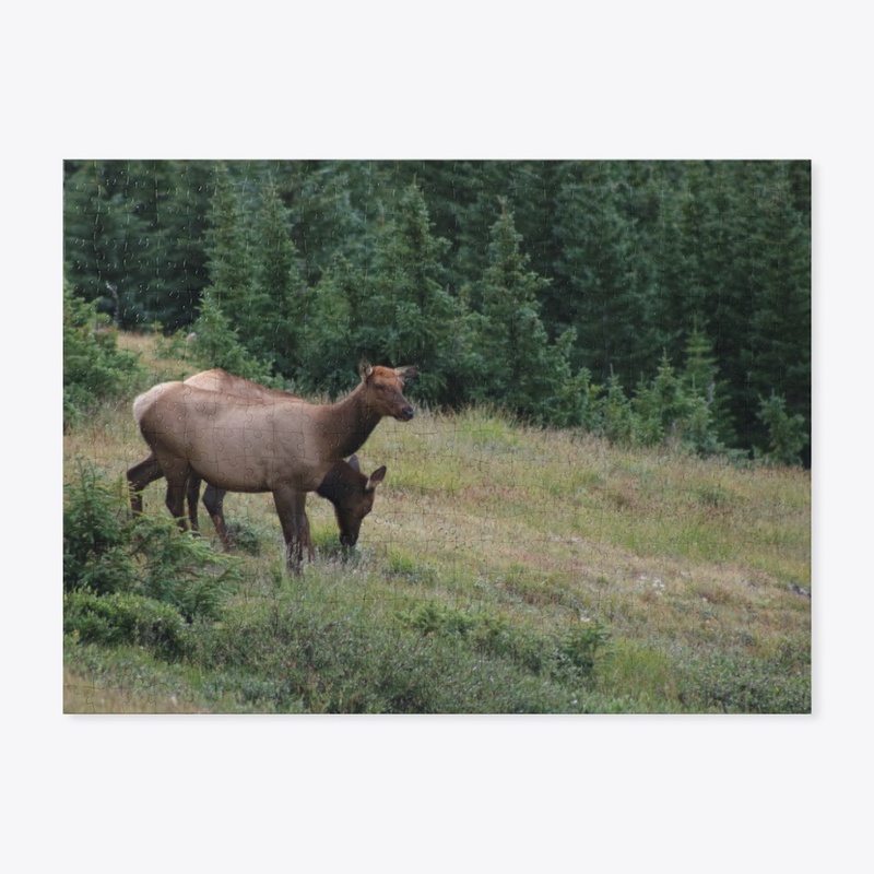Elk 1