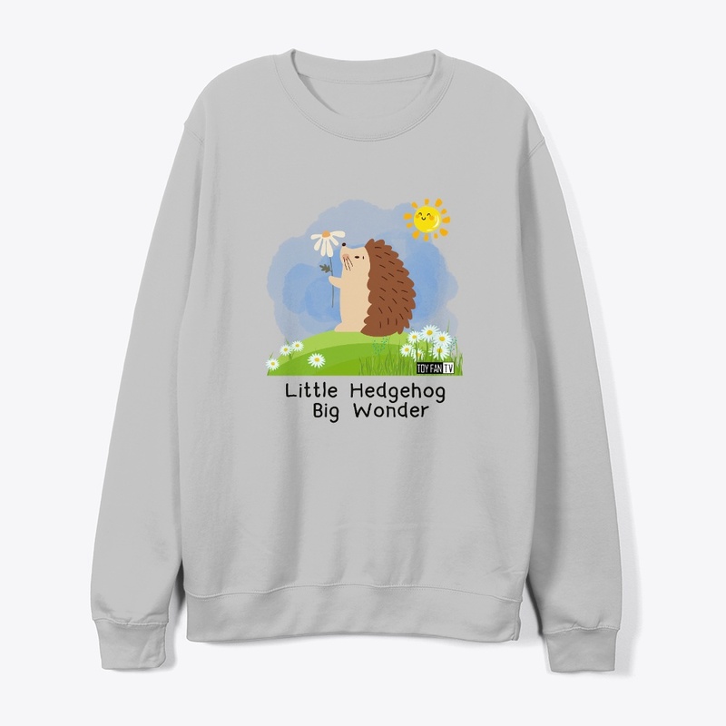 Little Hedgehog, Big Wonder
