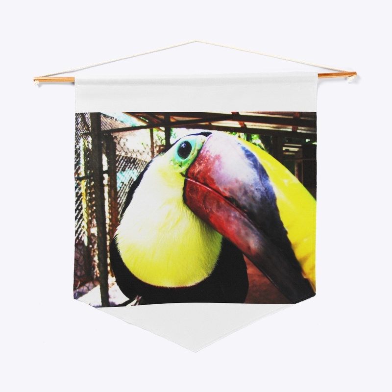 Toucan!