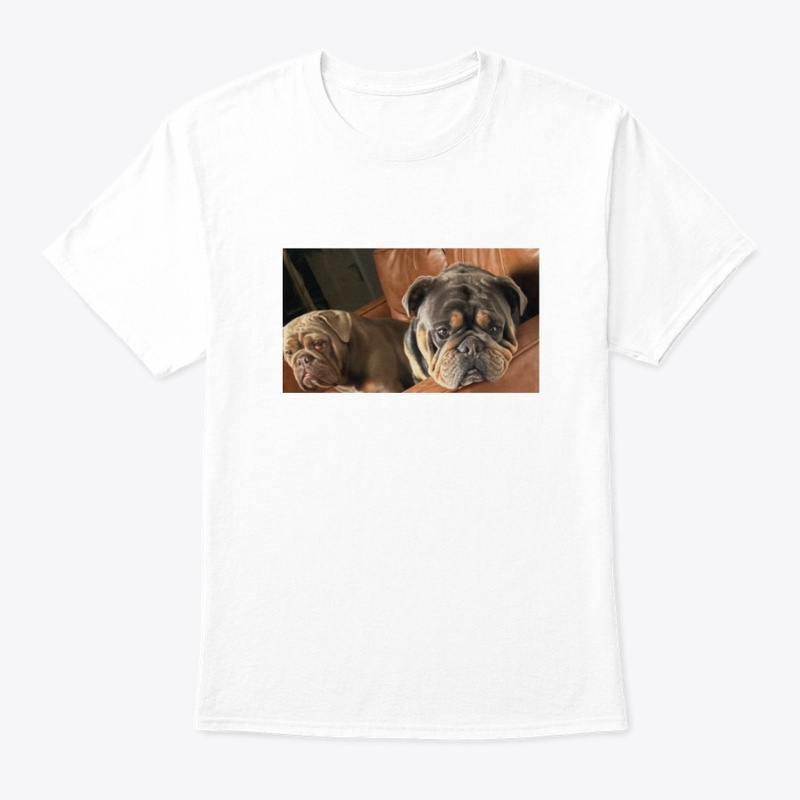 Save The Animals