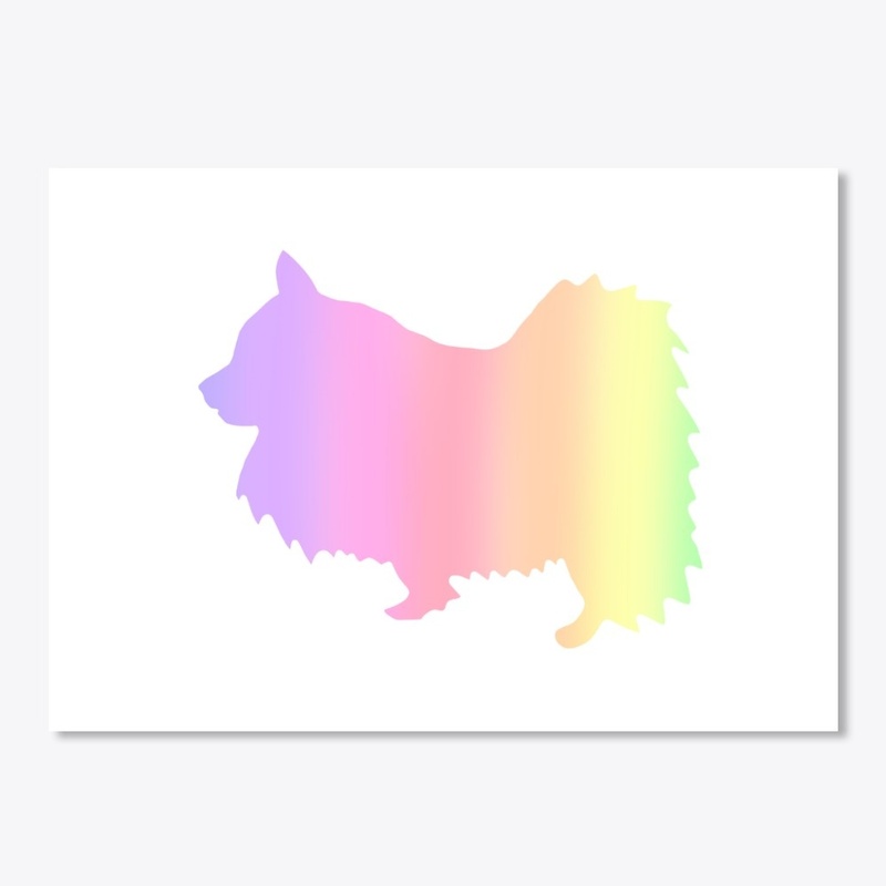 Rainbow Pomeranian