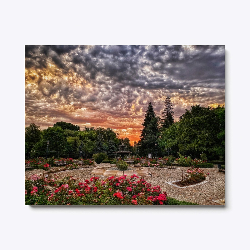 Sofia, Bulgaria-Rose Garden