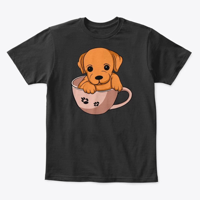 COLLECTION ANIMALS 2022