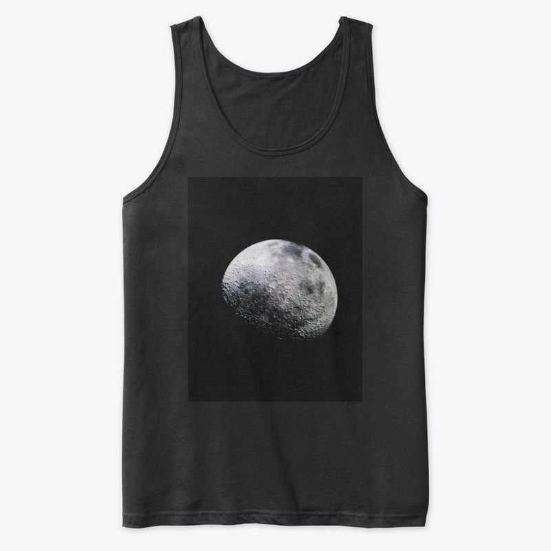 The moon