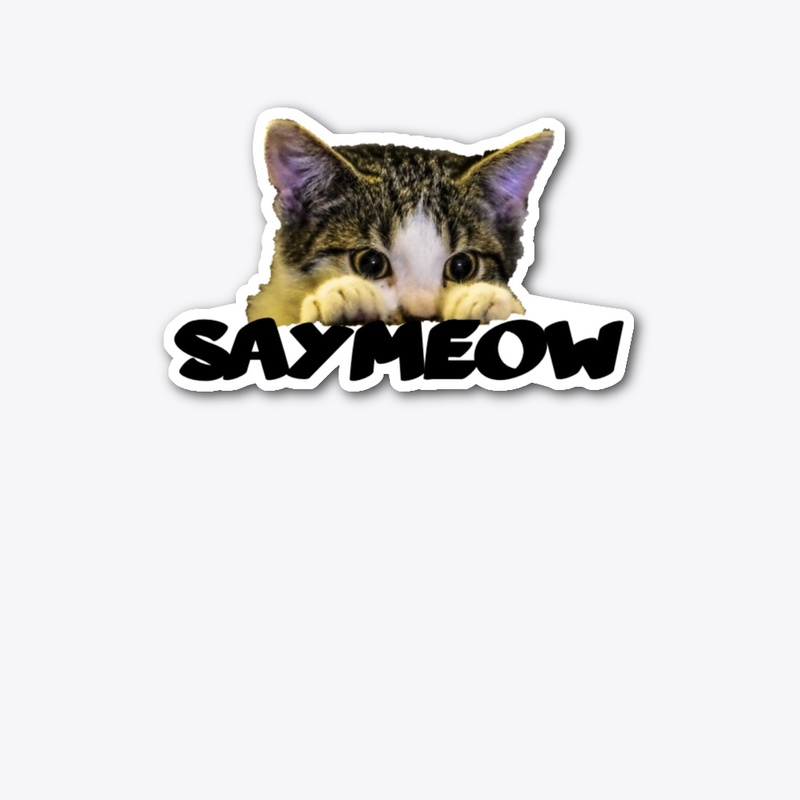 shy kitty