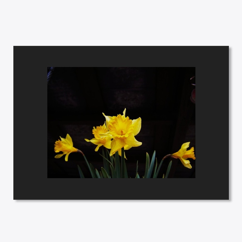 yellow easter lily flowers
