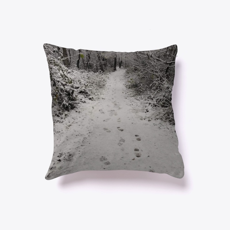 Stunning White Snow Trail Canvas 