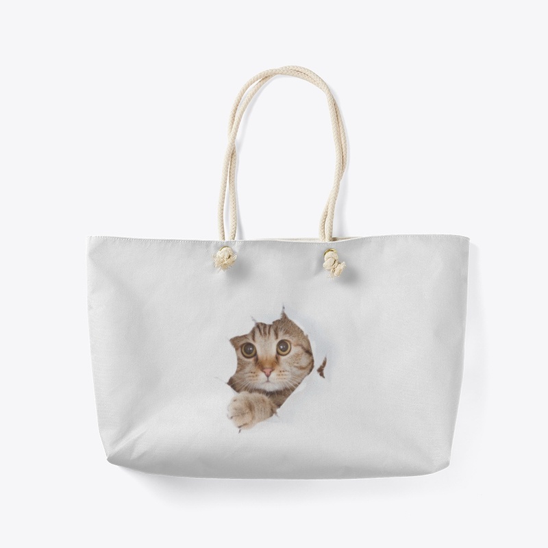Cat tshirt 
