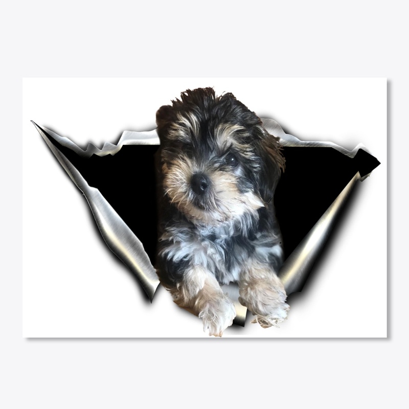 morkie 3D Car sticker