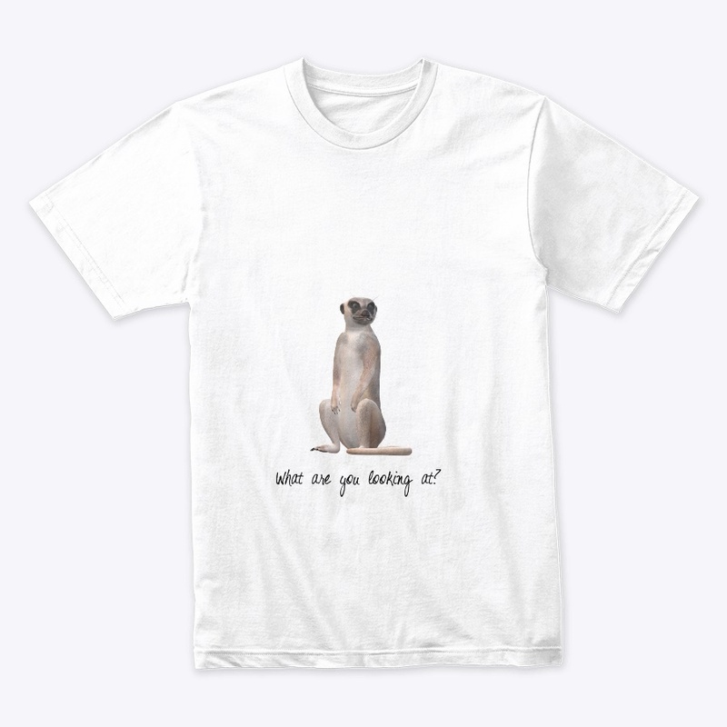 Meerkat shirt, what are you looking at??