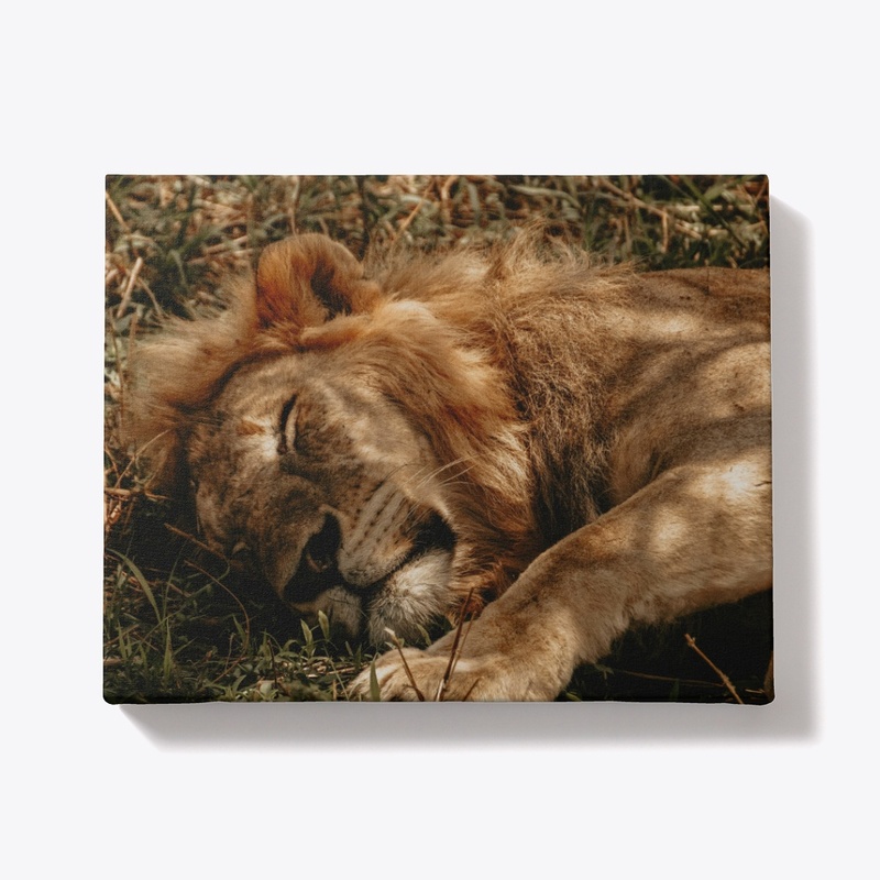 Serene Lion