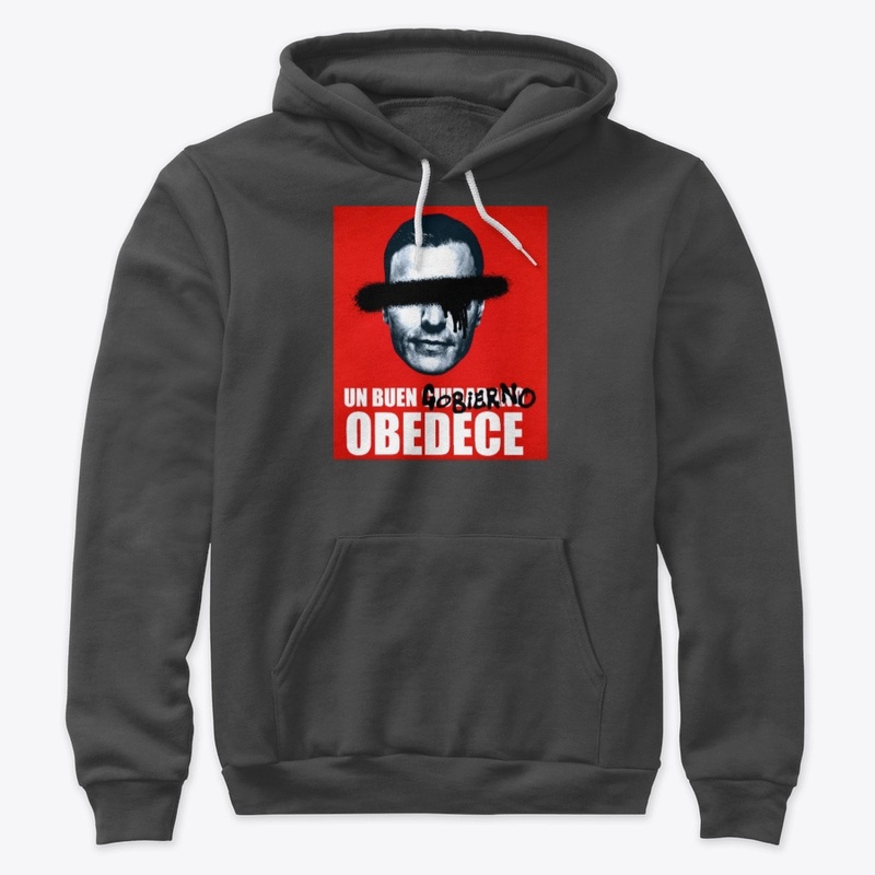 UN BUEN GOBIERNO OBEDECE