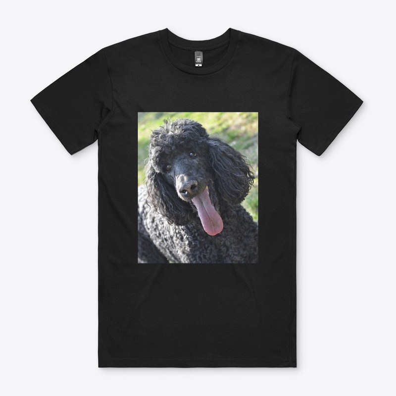 Poodle Merchandise