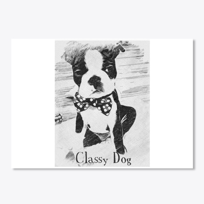 Classy Dog