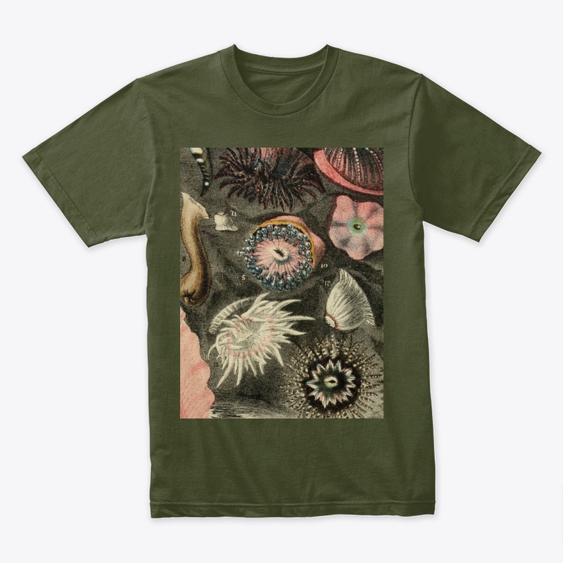under the sea
