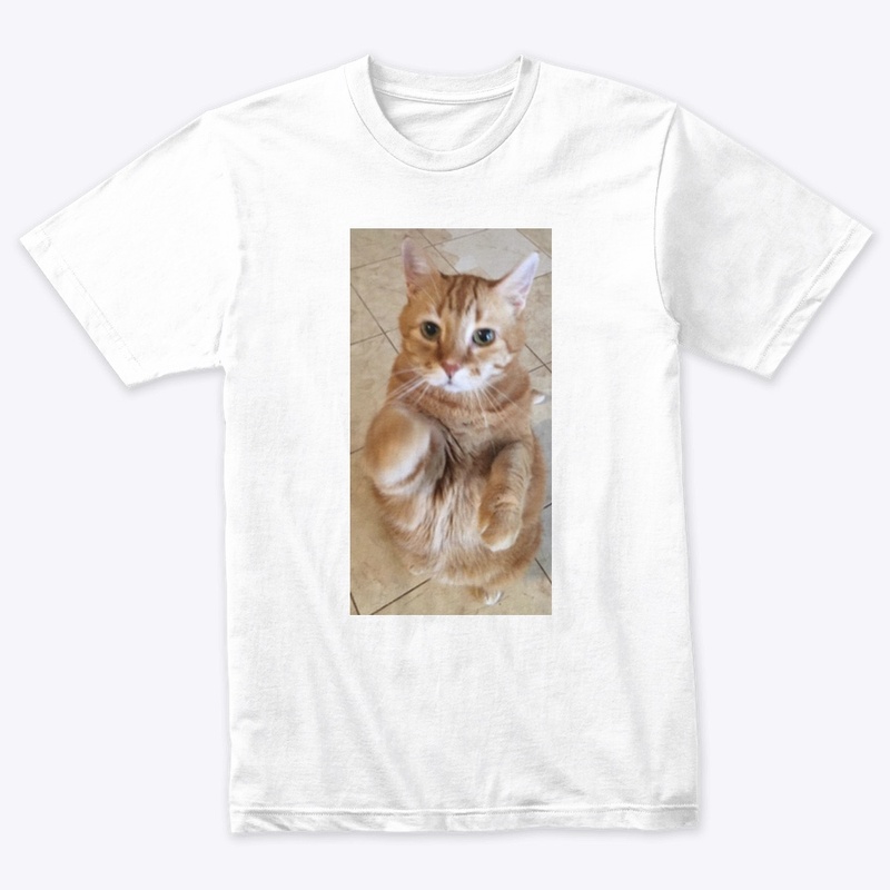 Morris the Cat Collection
