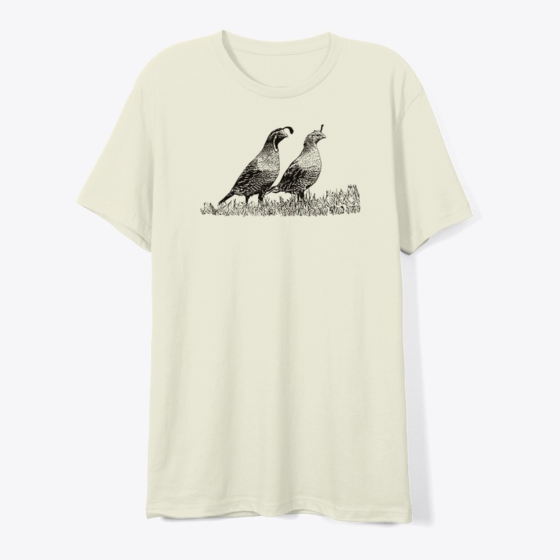 California Quail Birdwatching