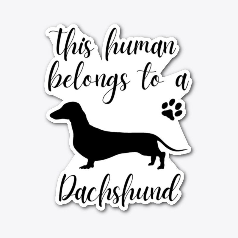 This human belongs to a Dachshund