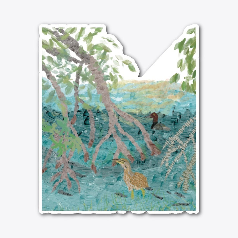 Mangroove wading birds 