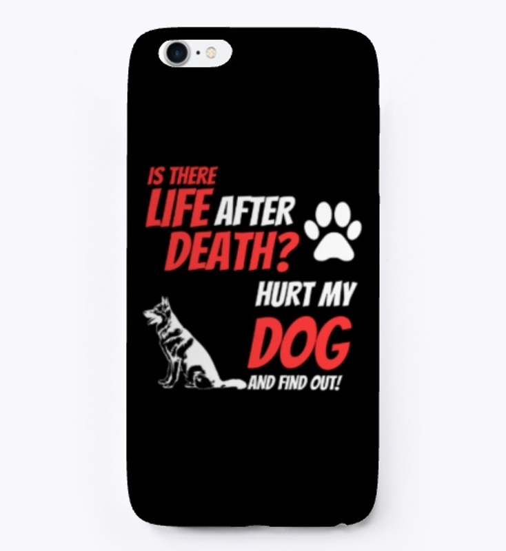 Is there Life After Death?