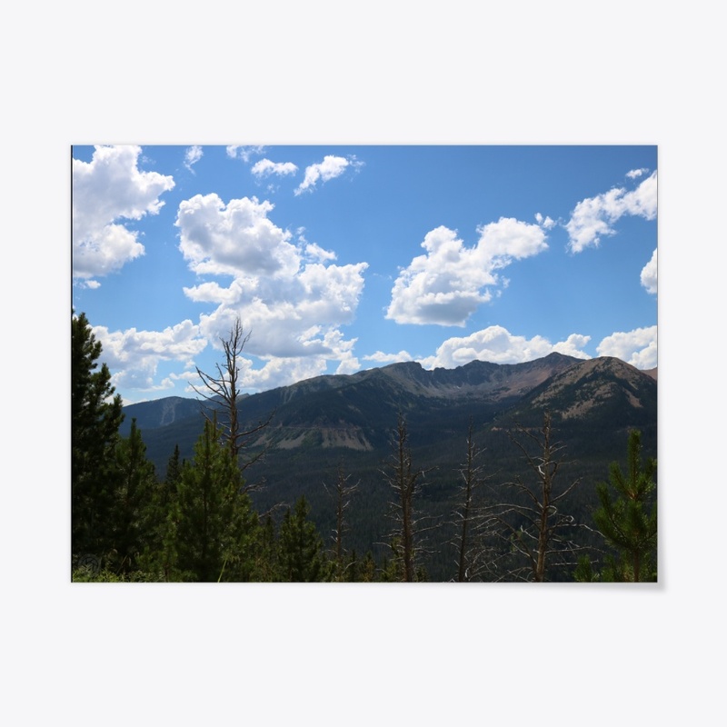 Colorado 25