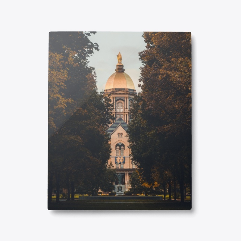 ND Autumn 1