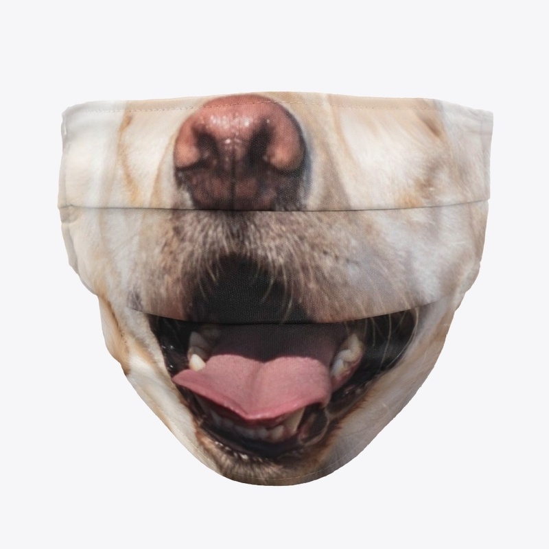 Labrador face