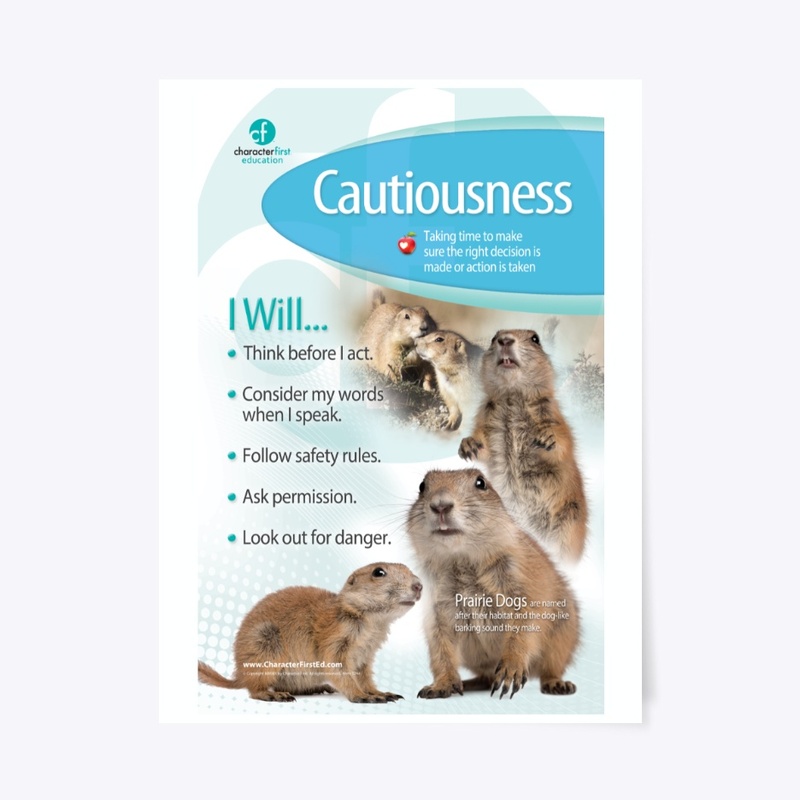 Cautiousness Anchor Chart