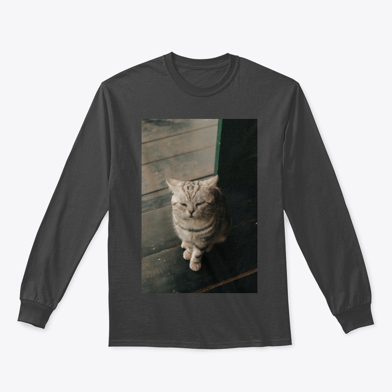 Kitten T-shirt