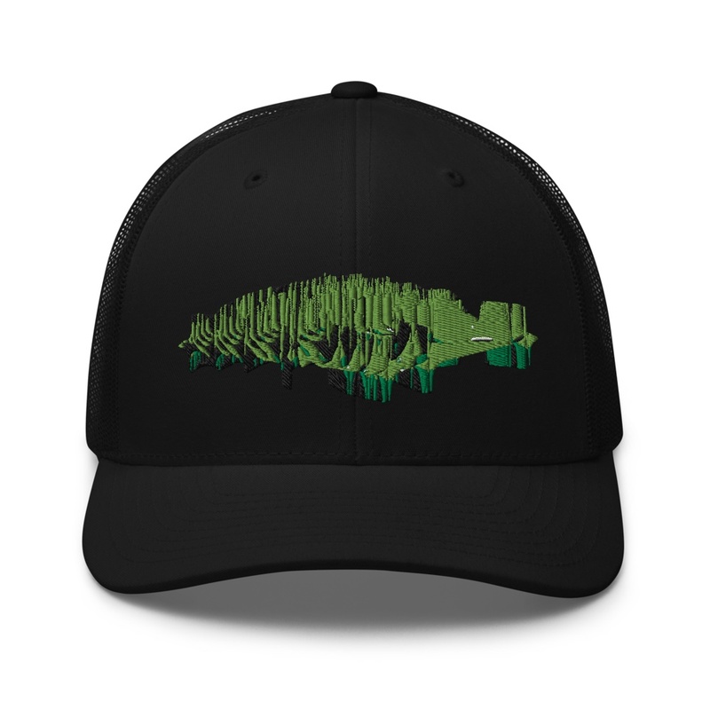 cool graphic trucker