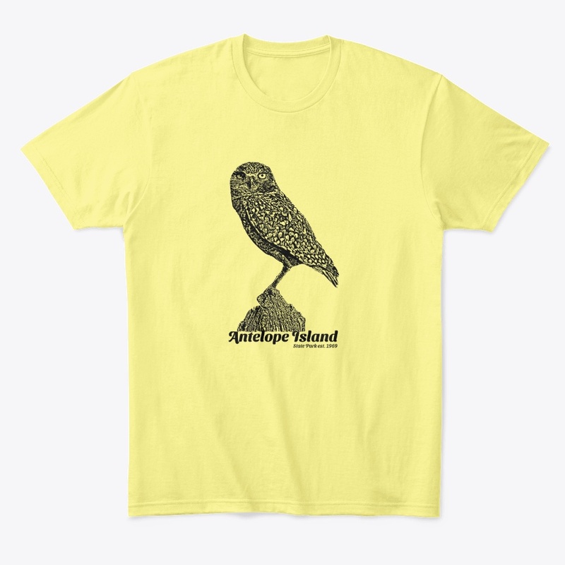 Antelope Island Burrowing Owl