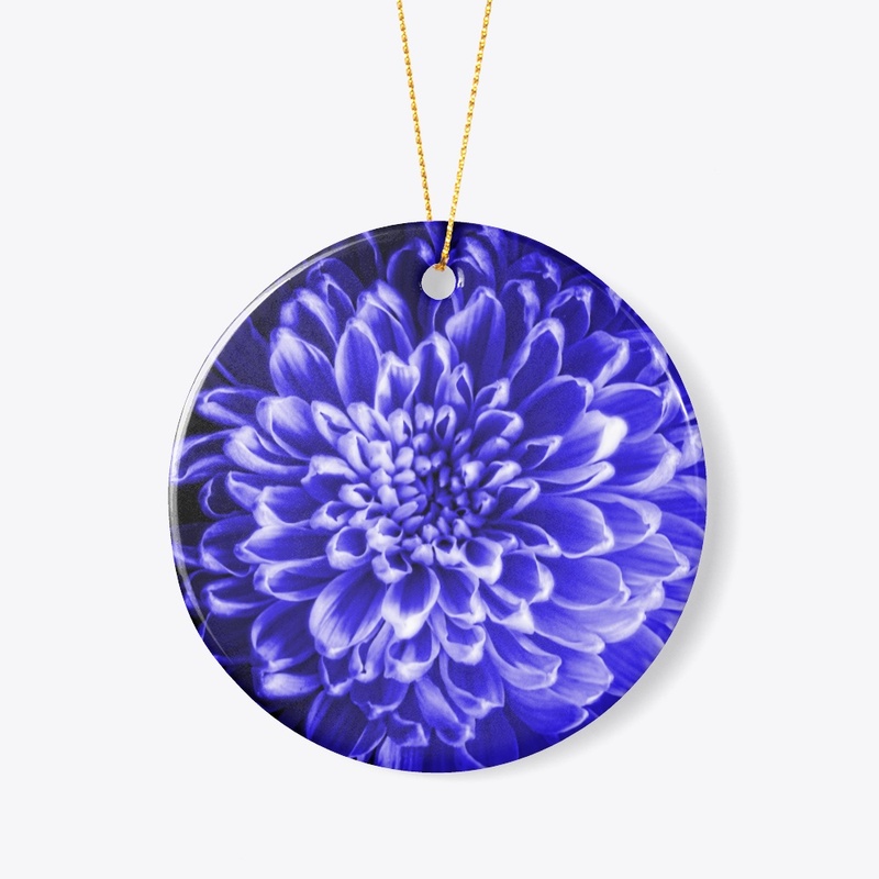 Blue Chrysanthemum