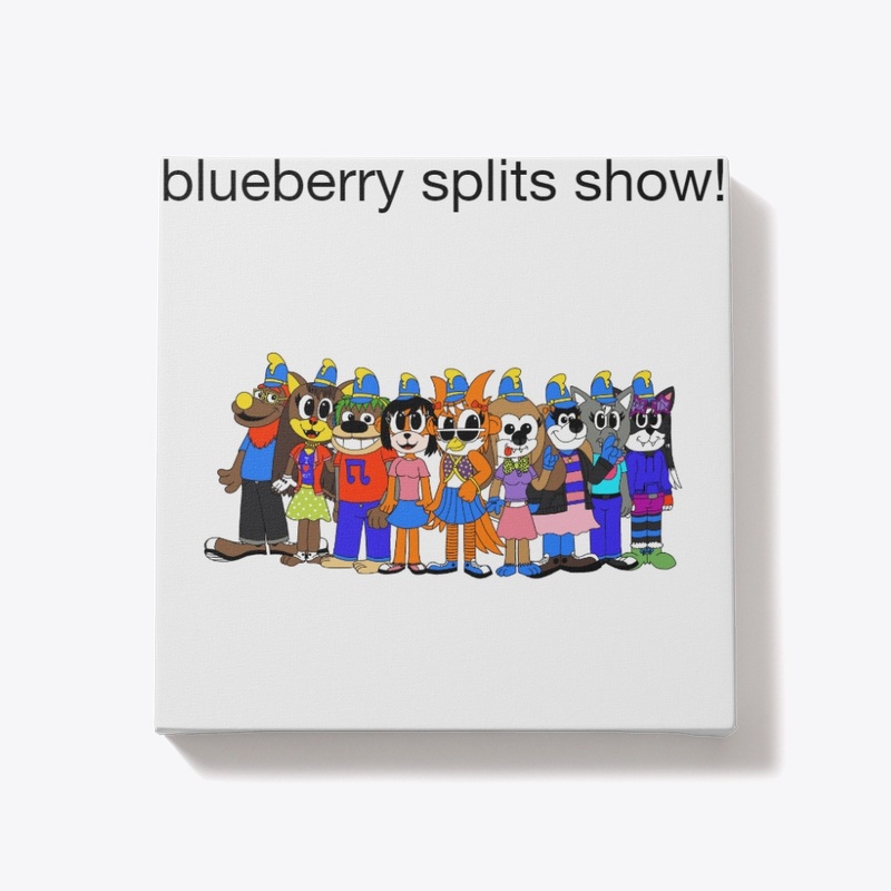 THE BLUEBERRY SPLITS SHOW MERCH!