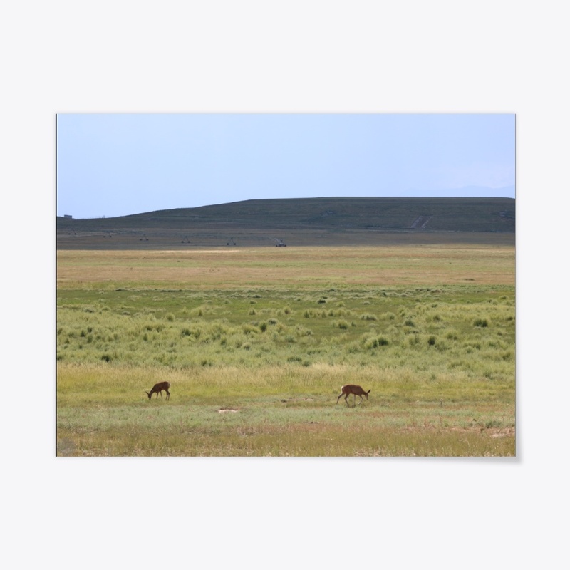 Prairie 2
