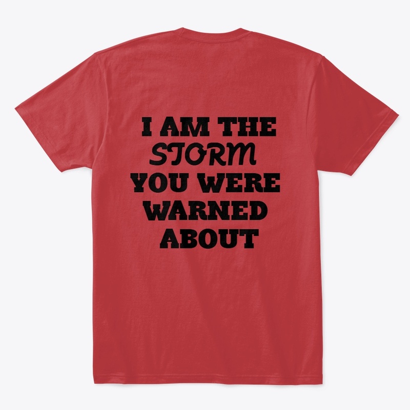 I AM THE STORM YOU WERE WARNED ABOUT