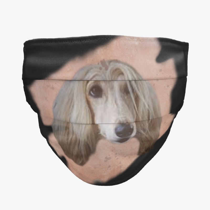 Afghan Hound
