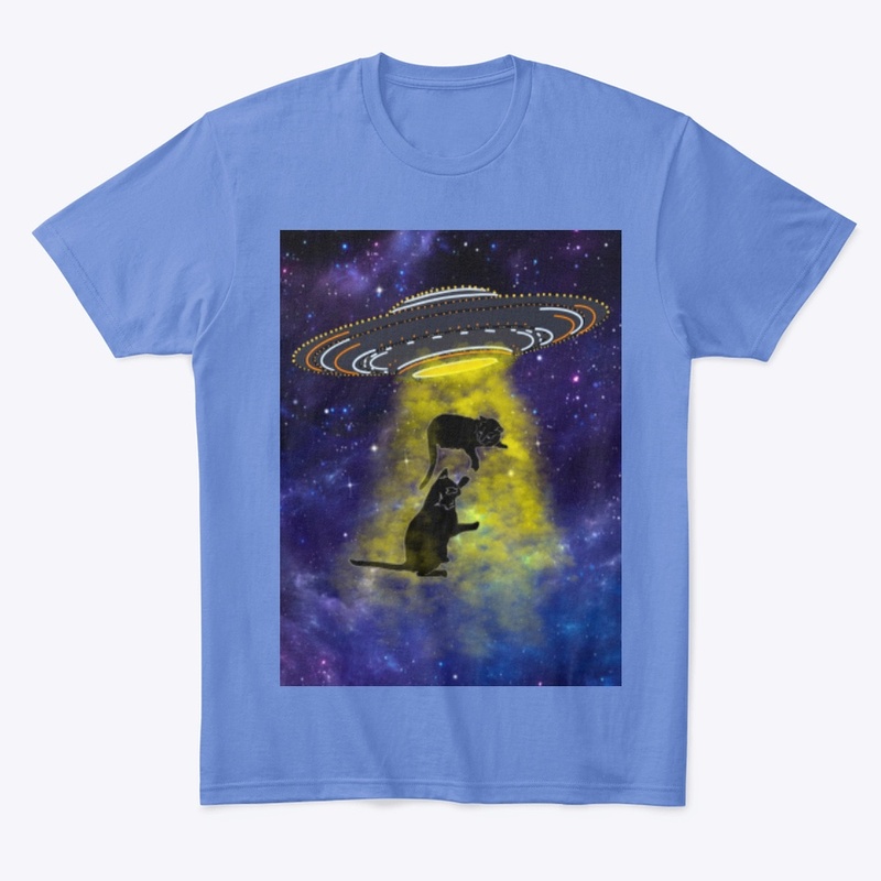 Milo and Calvin UFO