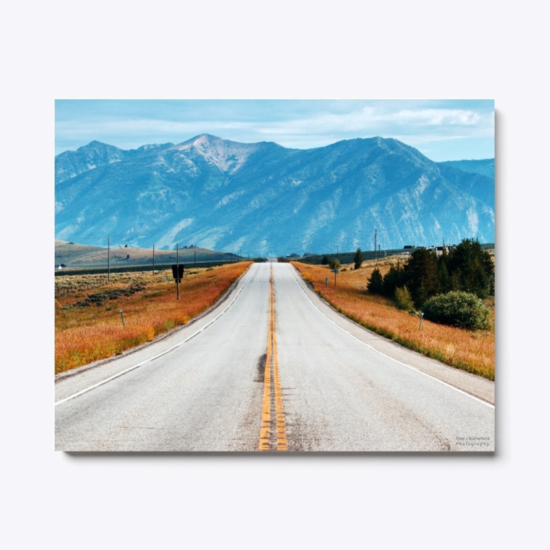 The Road Less Traveled