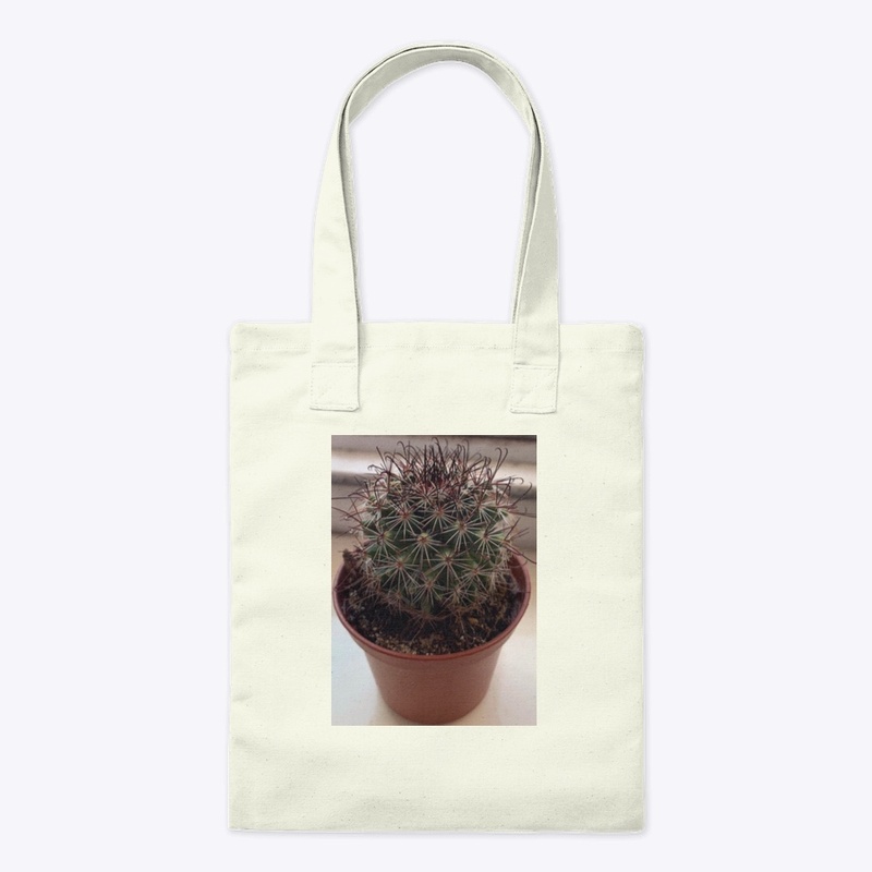 smith the cactus merch!