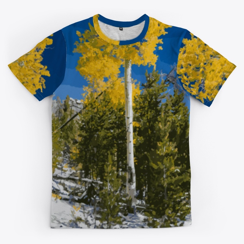 Fall Colors Trees Blue Sky